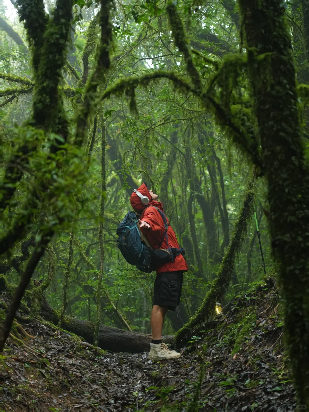 这是我至今为止走过最美的徒步路线!