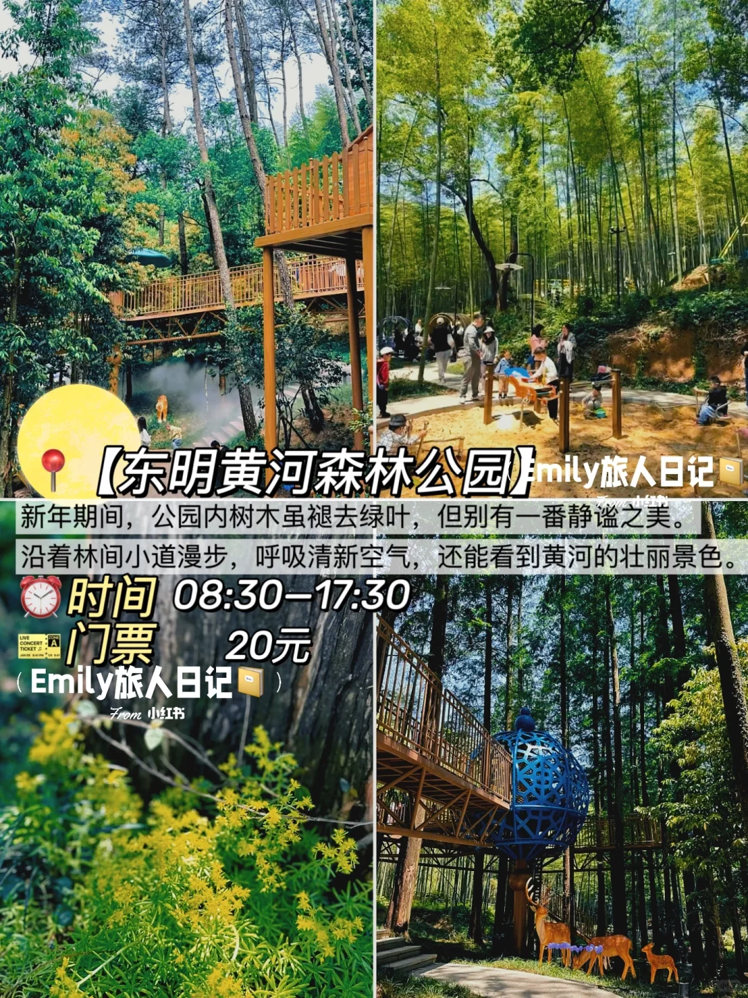 第一次来菏泽｜这篇攻略让你玩得像本地人❗️