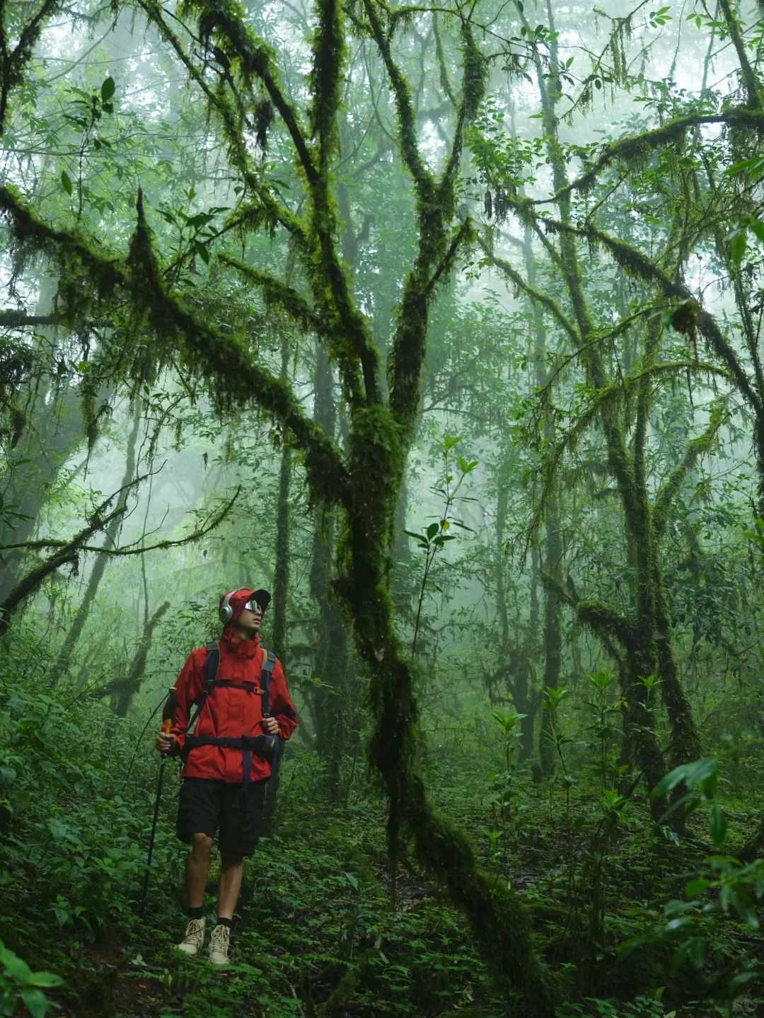 这是我至今为止走过最美的徒步路线!