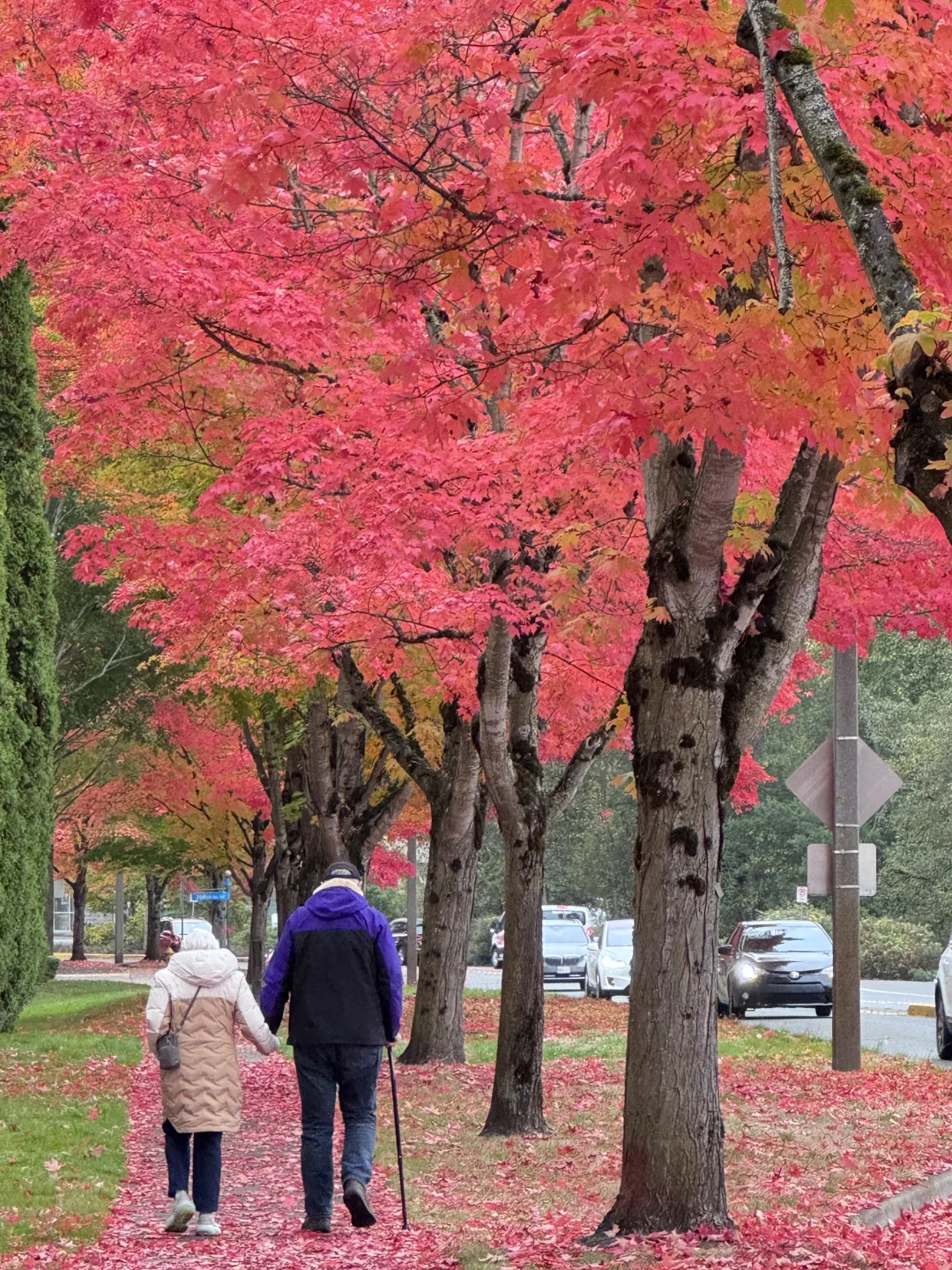美到失语的redmond
