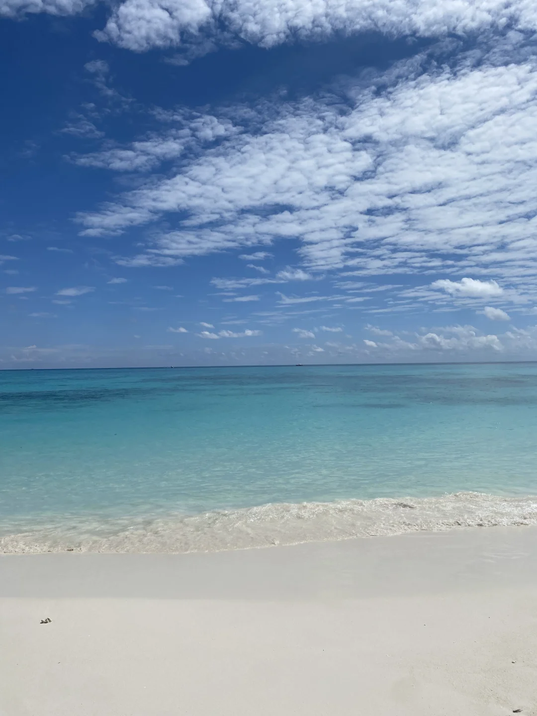 ᯓ 🥥˖°𓇼🐚⋆｡🫧 美成天堂了