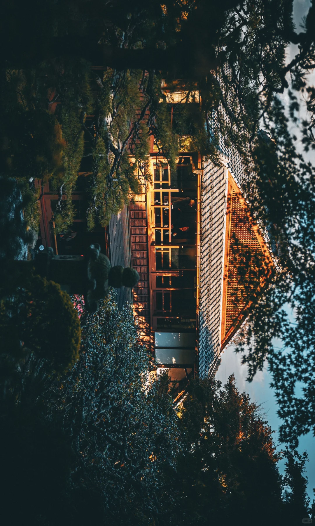不输琉璃光院,在京都赏秋🍁花的最值的🔟块！