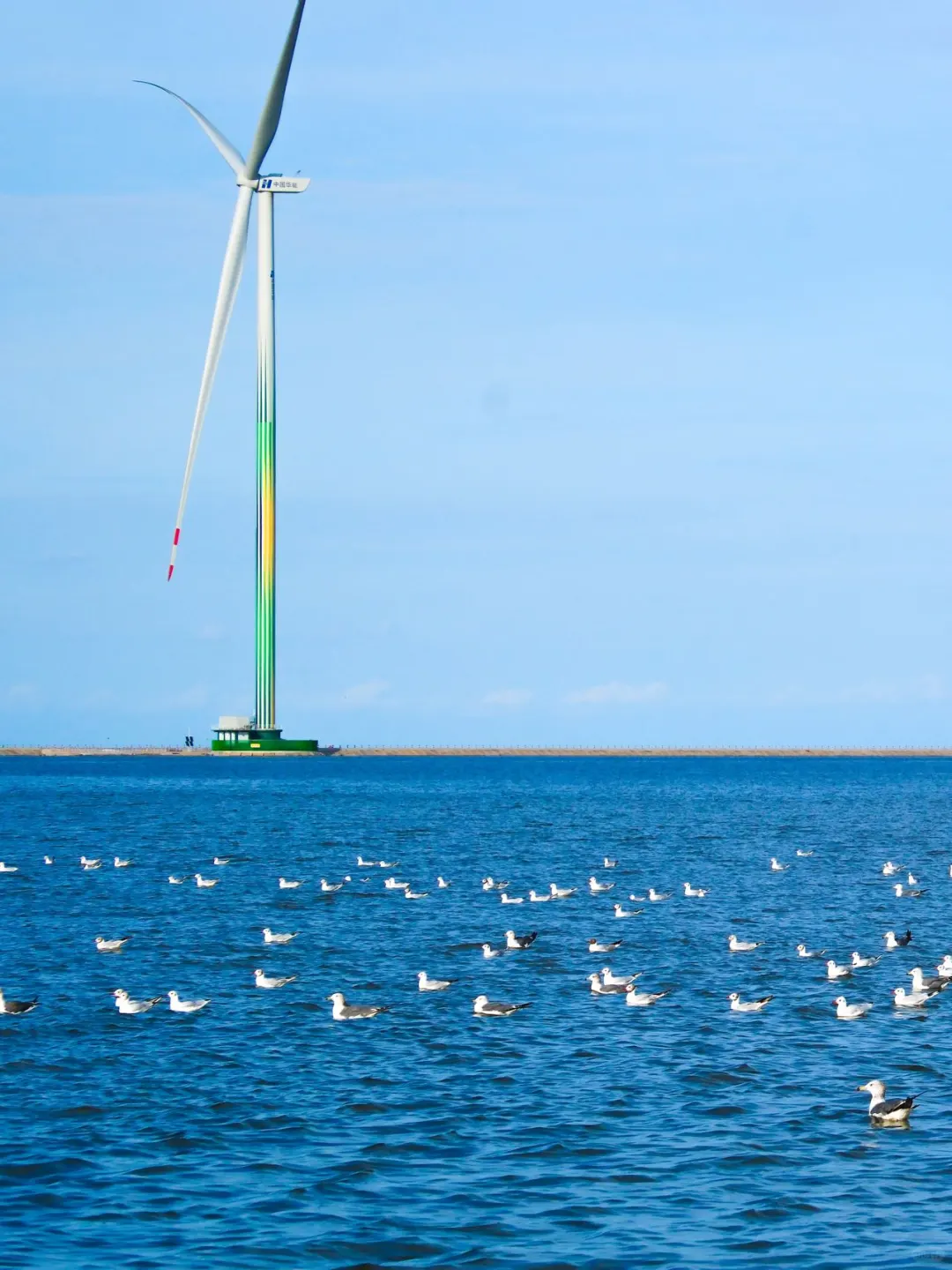 发朋友圈被问爆‼️真不是国外…在天津‼️