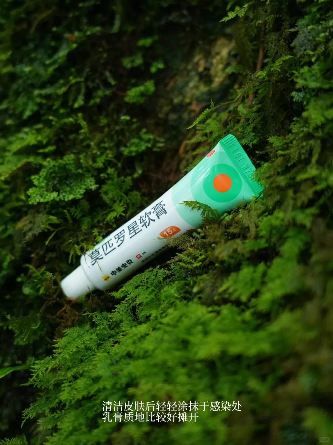 这是我至今为止走过最美的徒步路线!