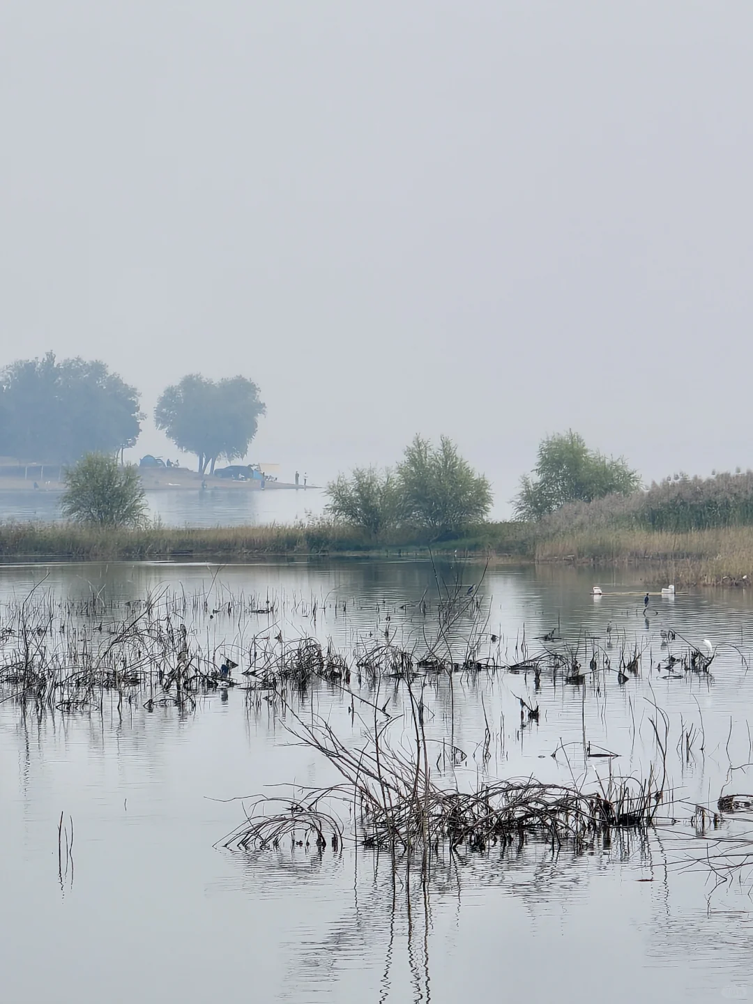 宝藏旅游小众景点——中原大佛