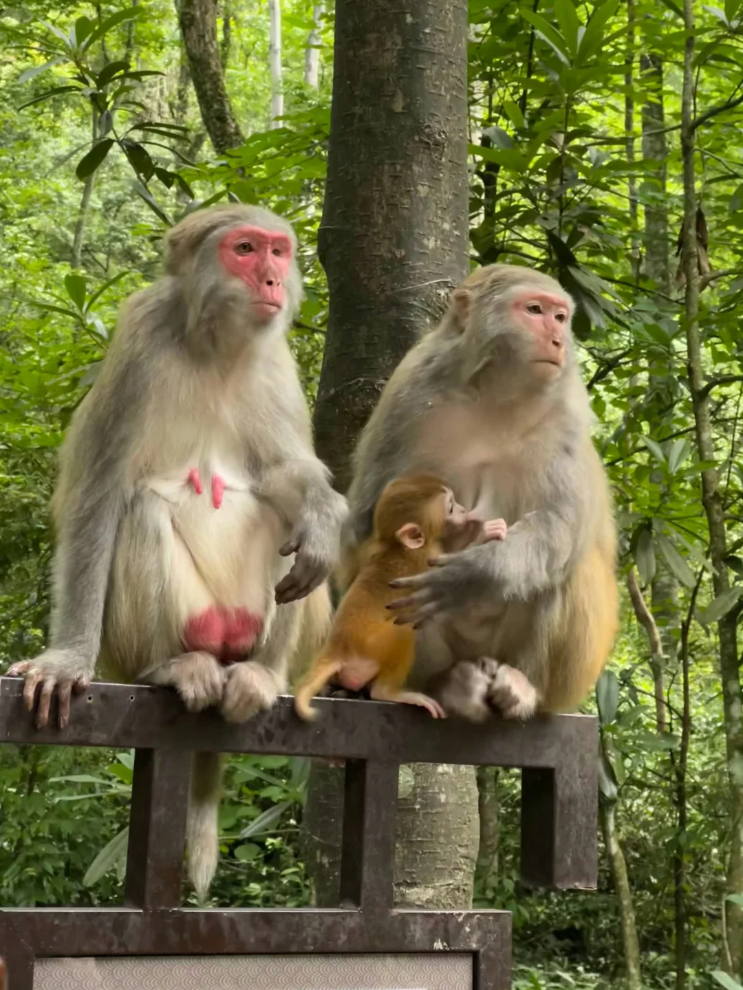 张家界旅游真不是你想那样🥲能劝一个是一个