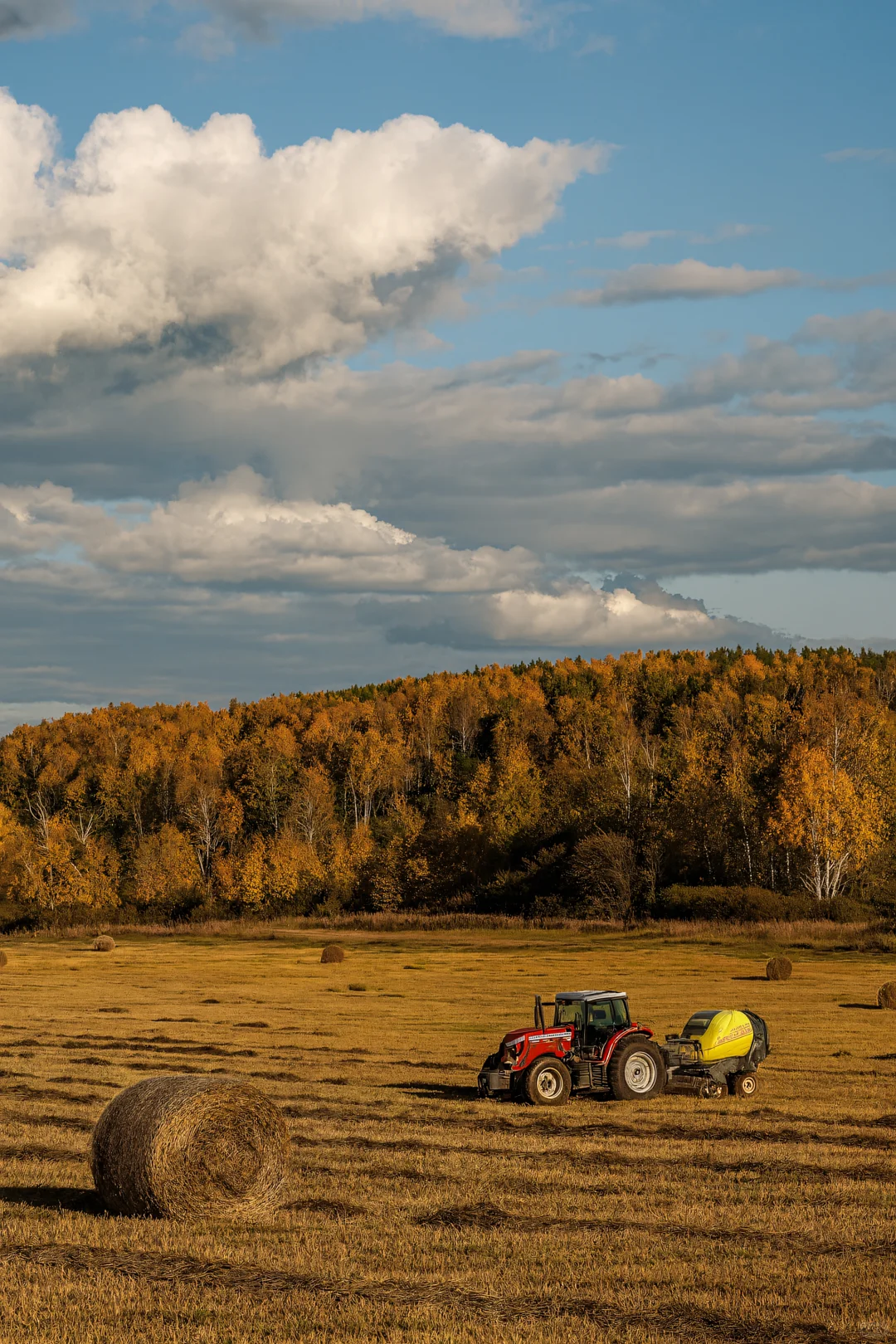 如果秋天有颜色,那一定是乌兰布统的斑斓