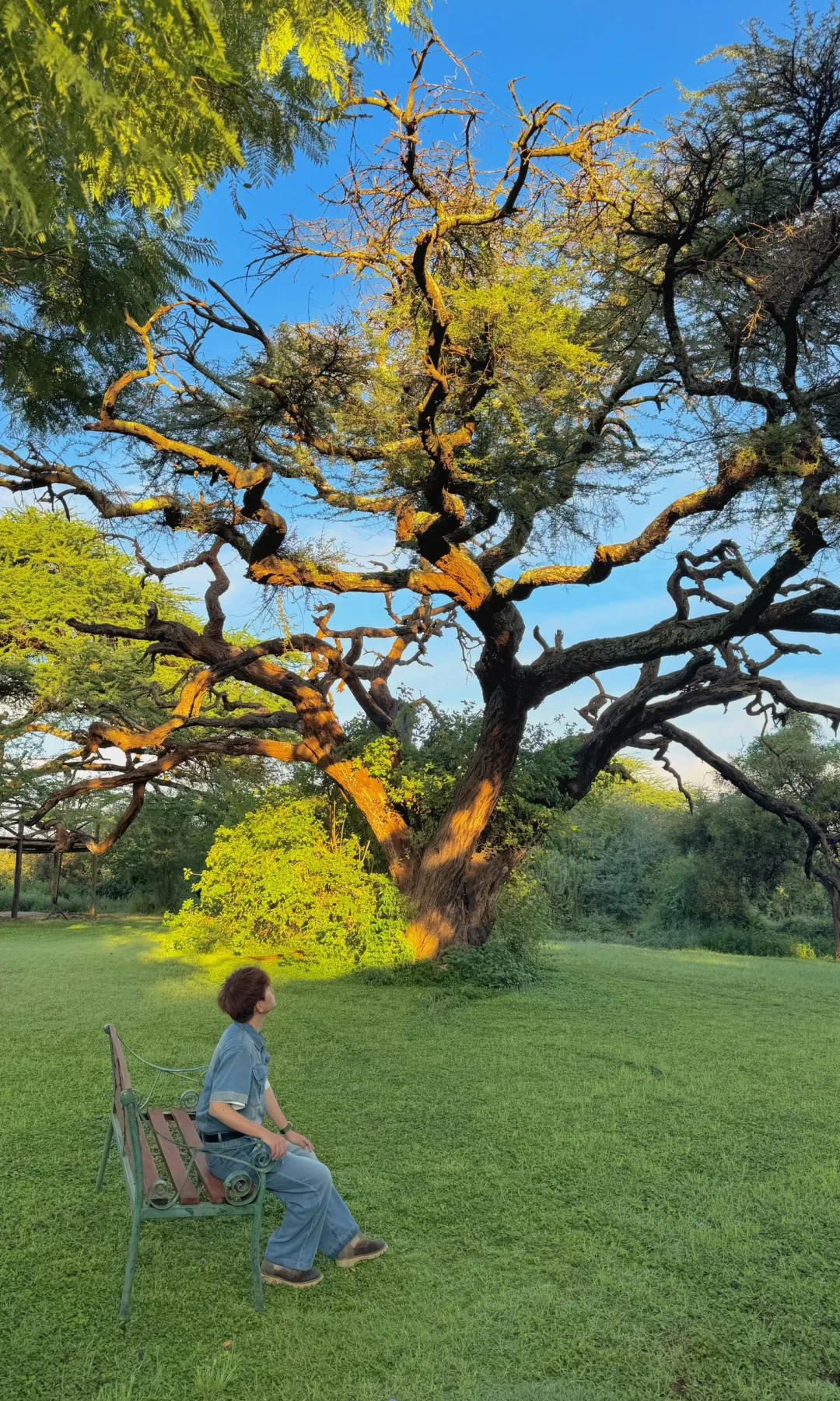 非洲的入门级酒店真的是刷新了我的旅行认知