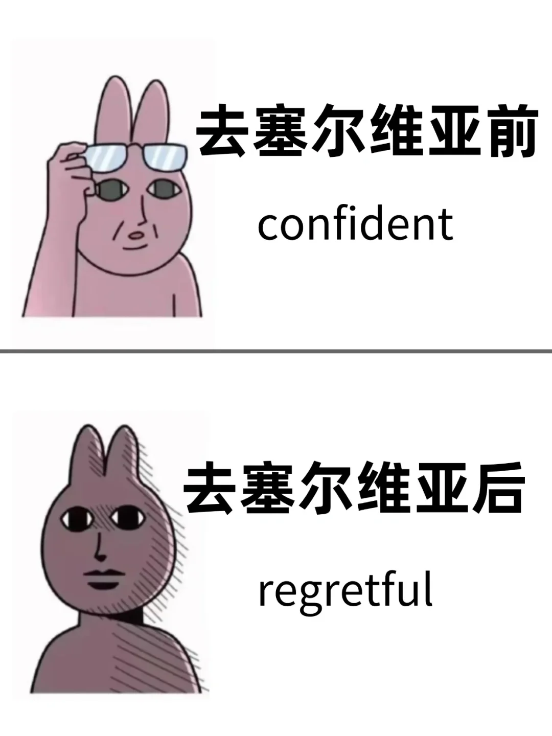 为什么我去塞尔维亚旅游之前没刷到这一篇
