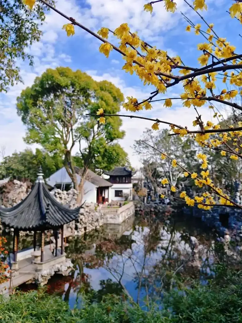 江南古典园林！中国古风中的白月光！