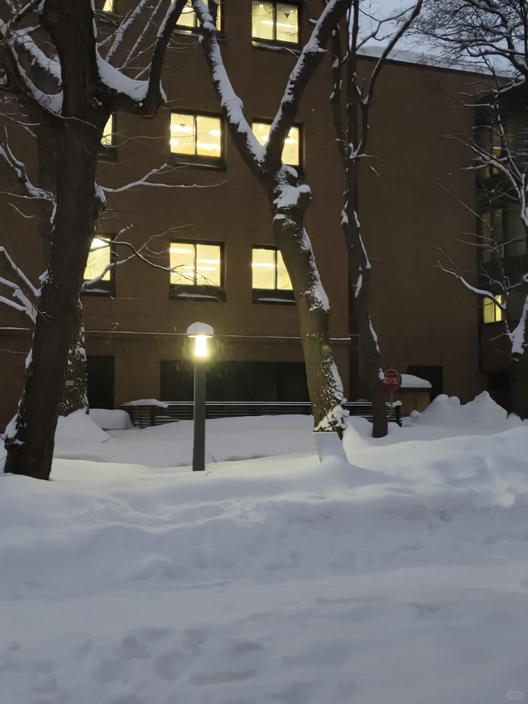 一旦去过北海道这辈子就完蛋了