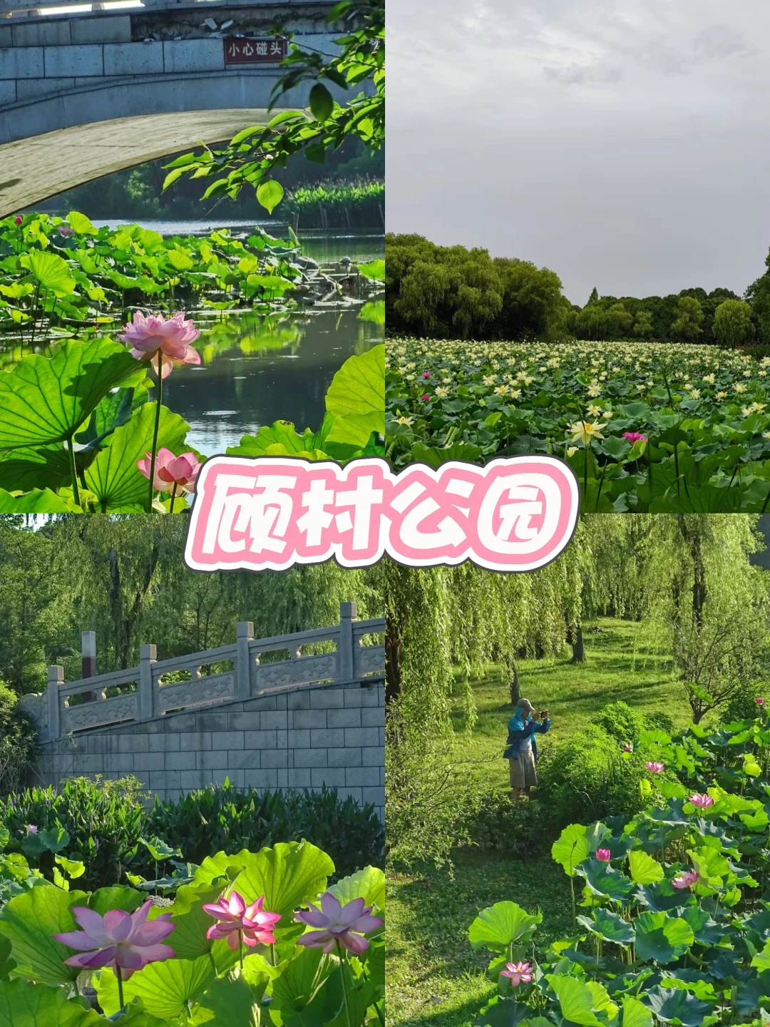 暑假上海必打卡9大景点🔥本地人私藏攻略