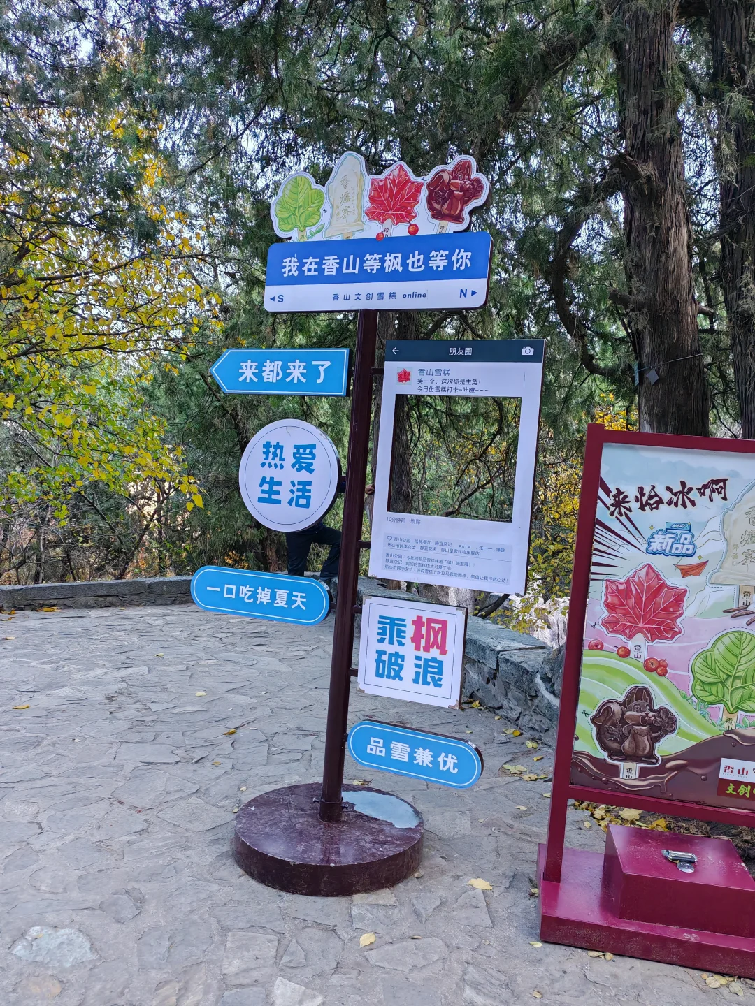 北京｜📍香山公园