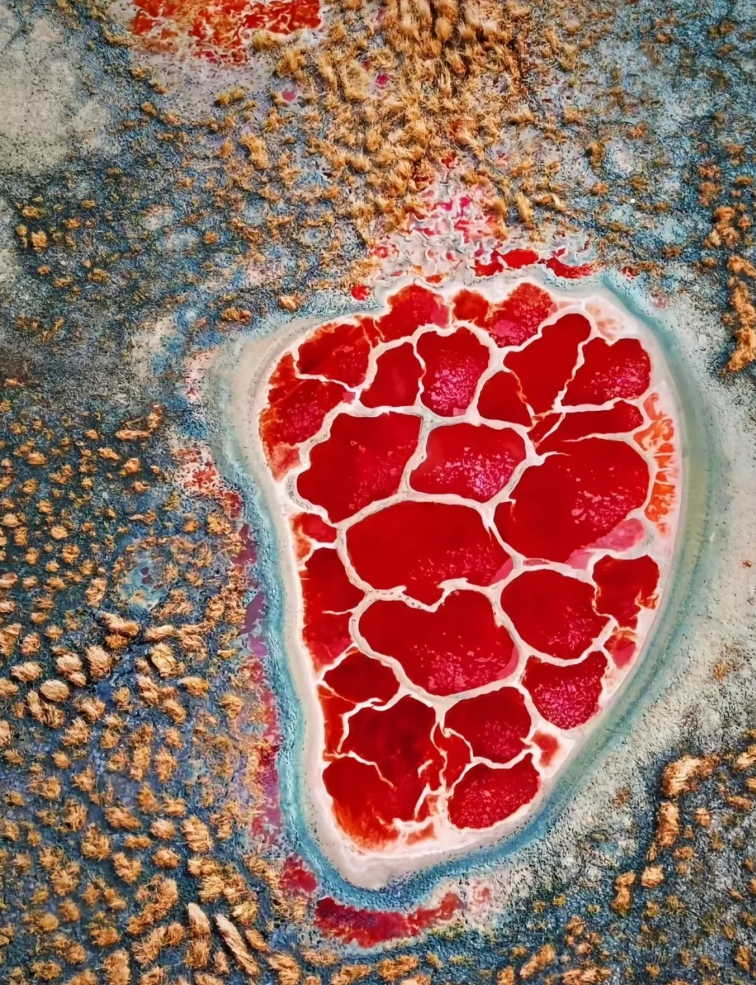 来宁夏,必玩的9个景点