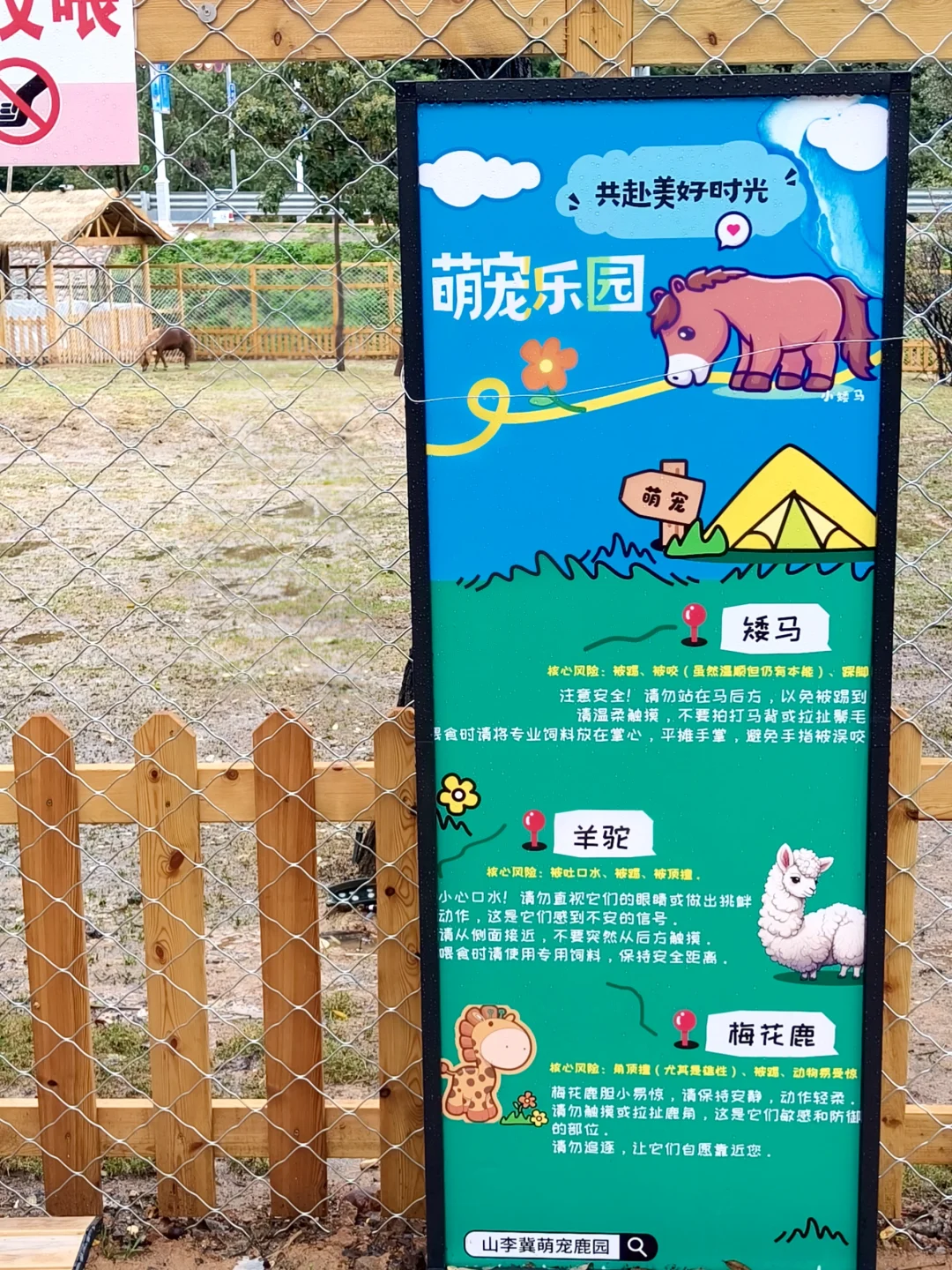 下雨天不想宅家，来感受“仙境”