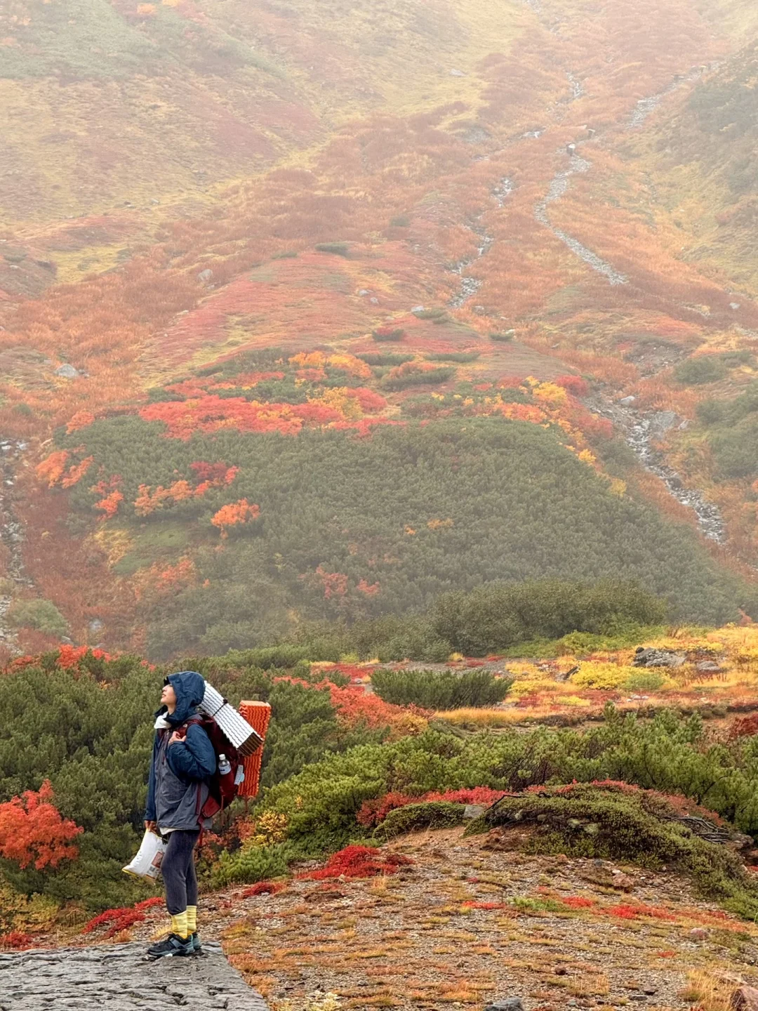 10.05油画立山🍁实况🧡💛❤️附拍照机位攻略