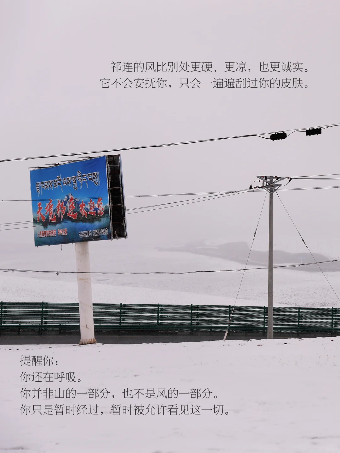 人为什么在辽阔天地面前，会无声流泪。