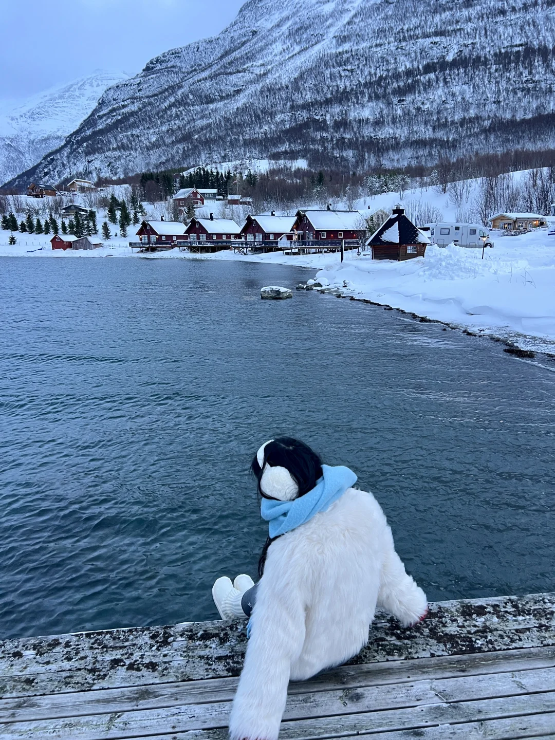 🇳🇴得了挪威病