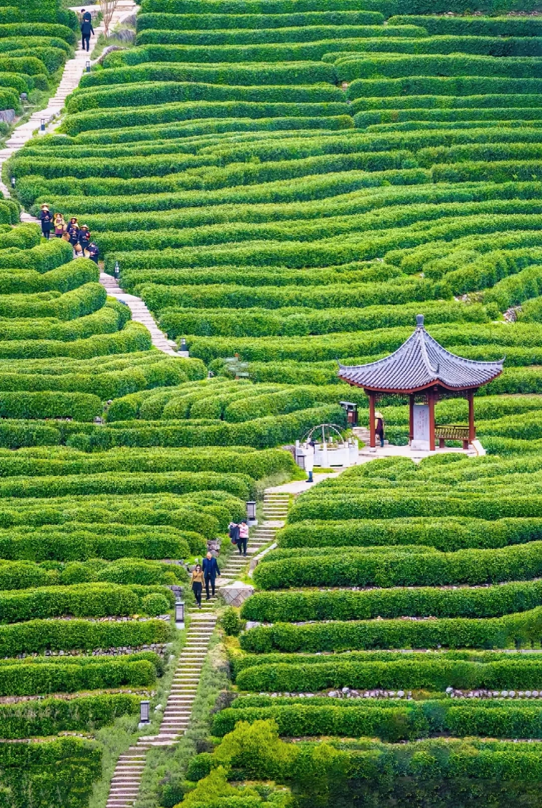 🍃端午来杭州 看这篇就够
