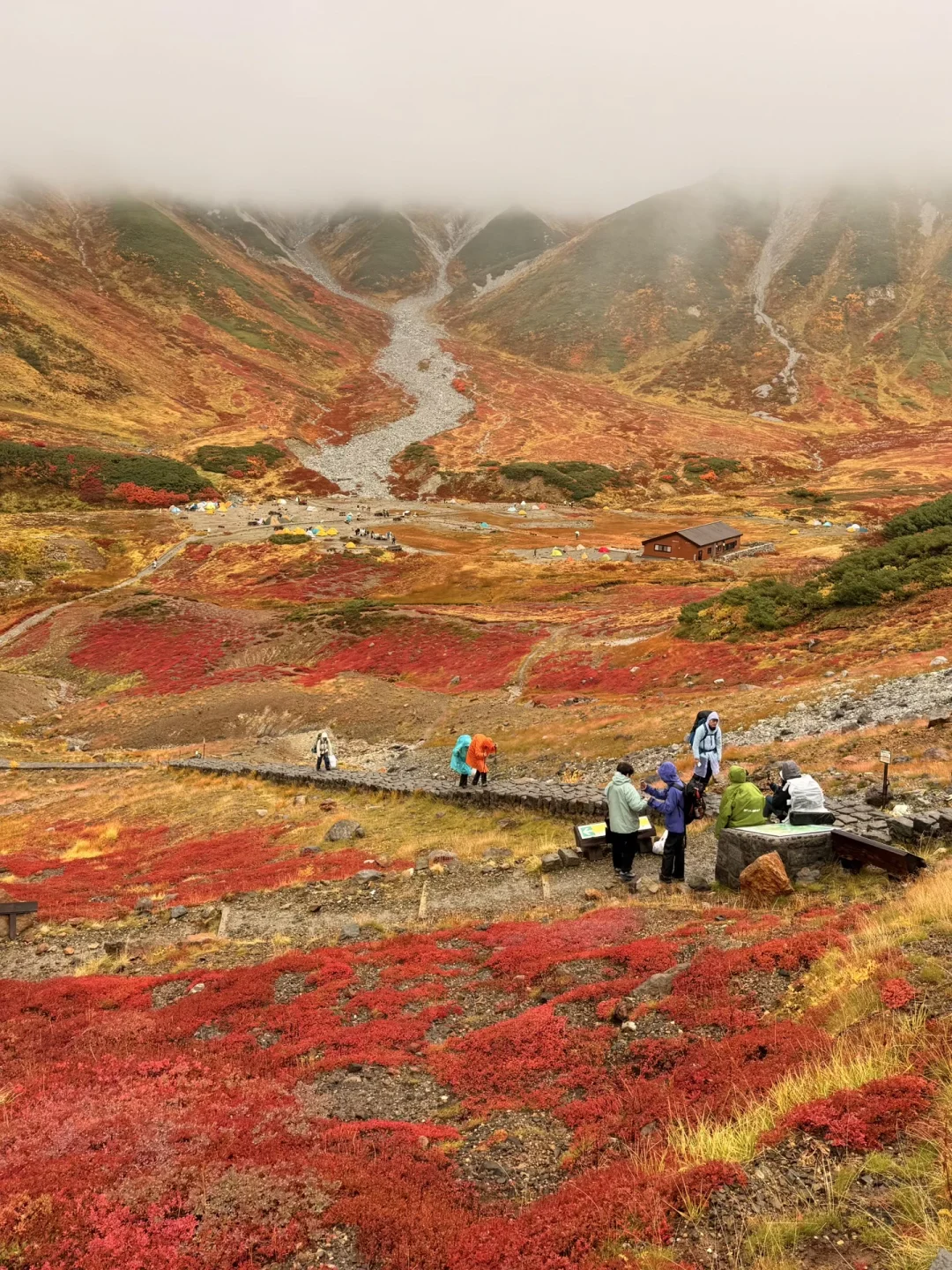 10.05油画立山🍁实况🧡💛❤️附拍照机位攻略