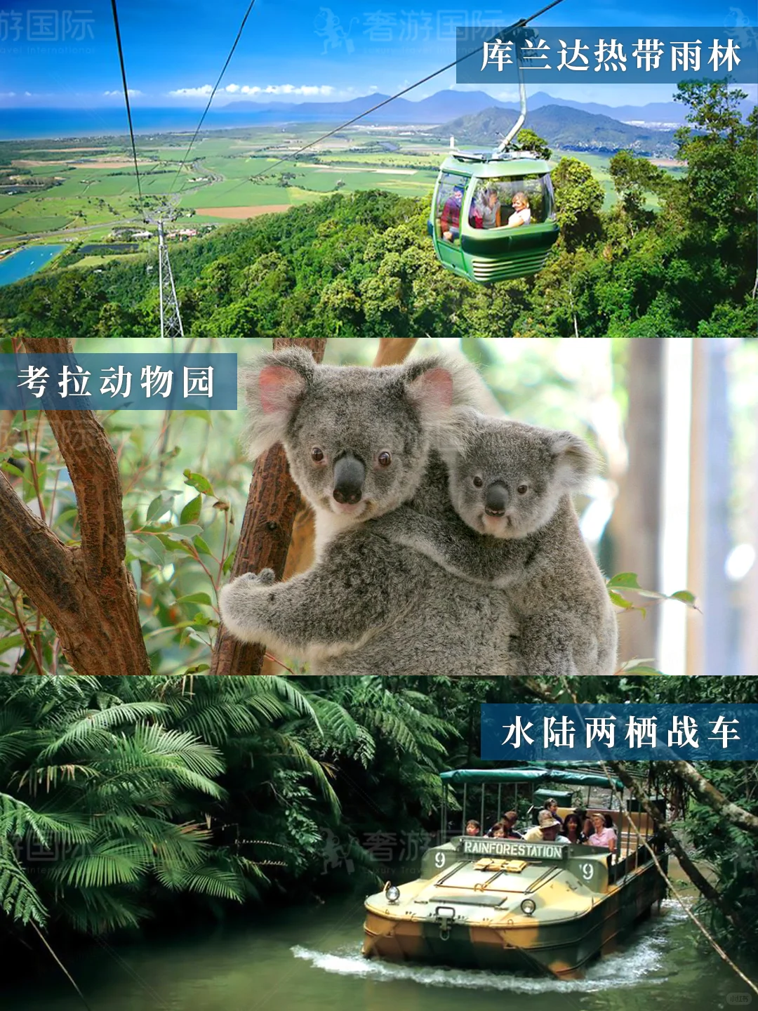 我宣布!澳大利亚这条线才是亲子游天花板