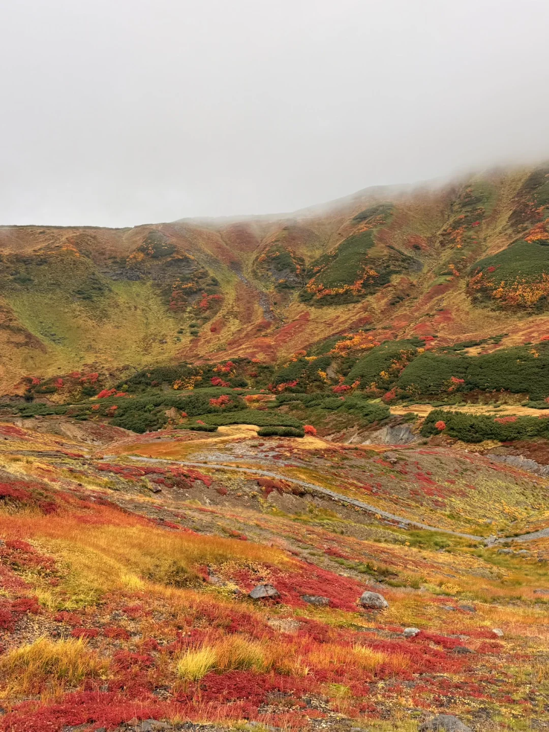 10.05油画立山🍁实况🧡💛❤️附拍照机位攻略