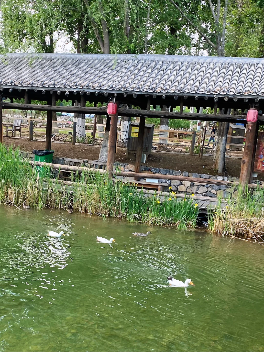 🏞太行水镇|京津冀周边游必打卡|超出片