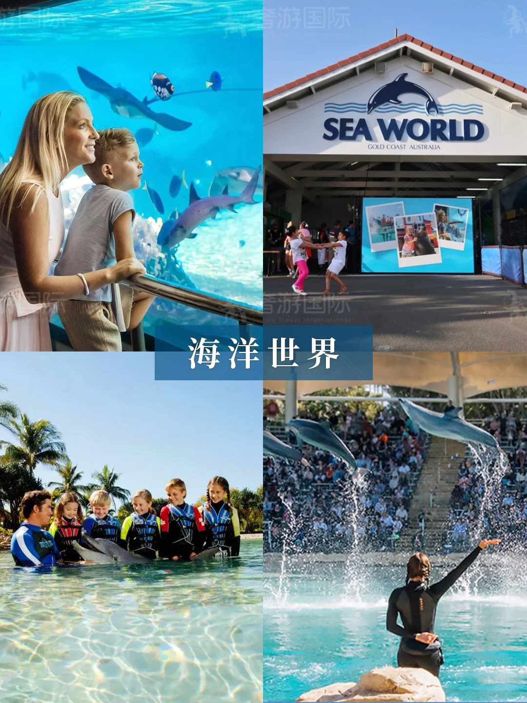 我宣布!澳大利亚这条线才是亲子游天花板