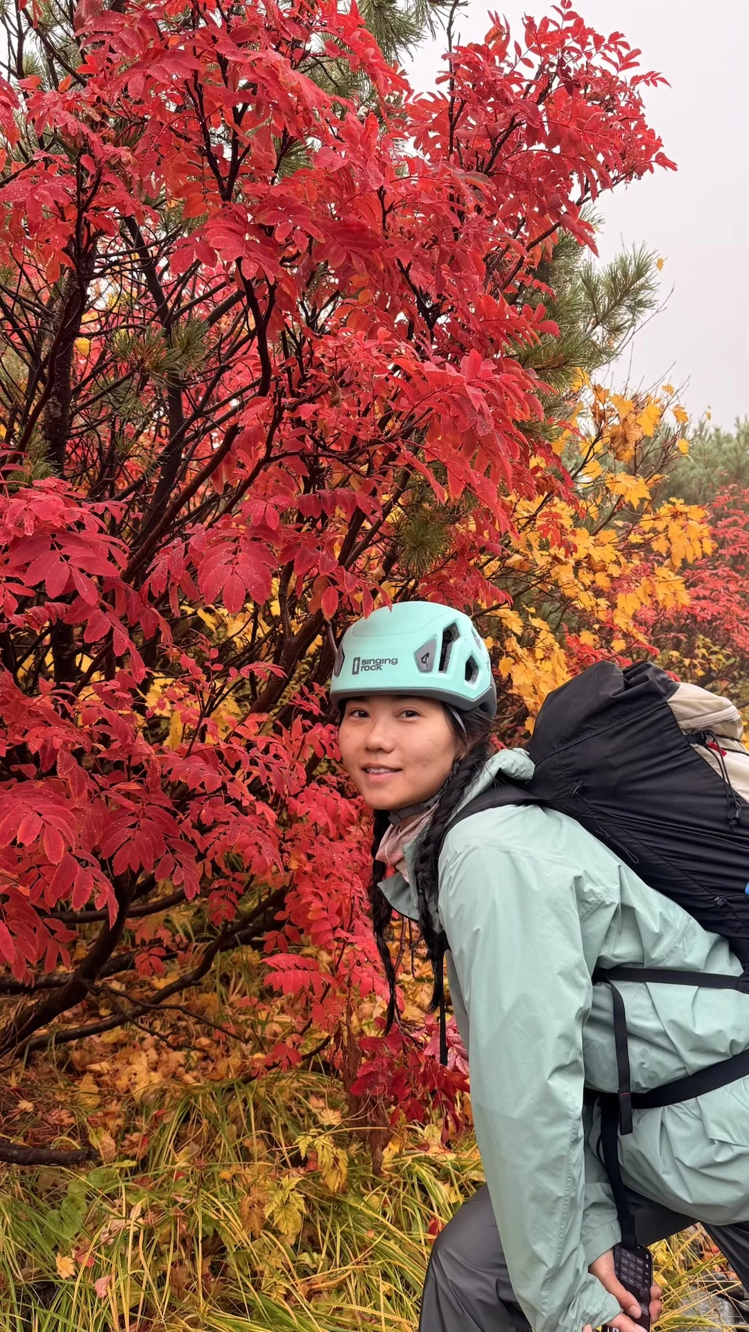 10.05油画立山🍁实况🧡💛❤️附拍照机位攻略