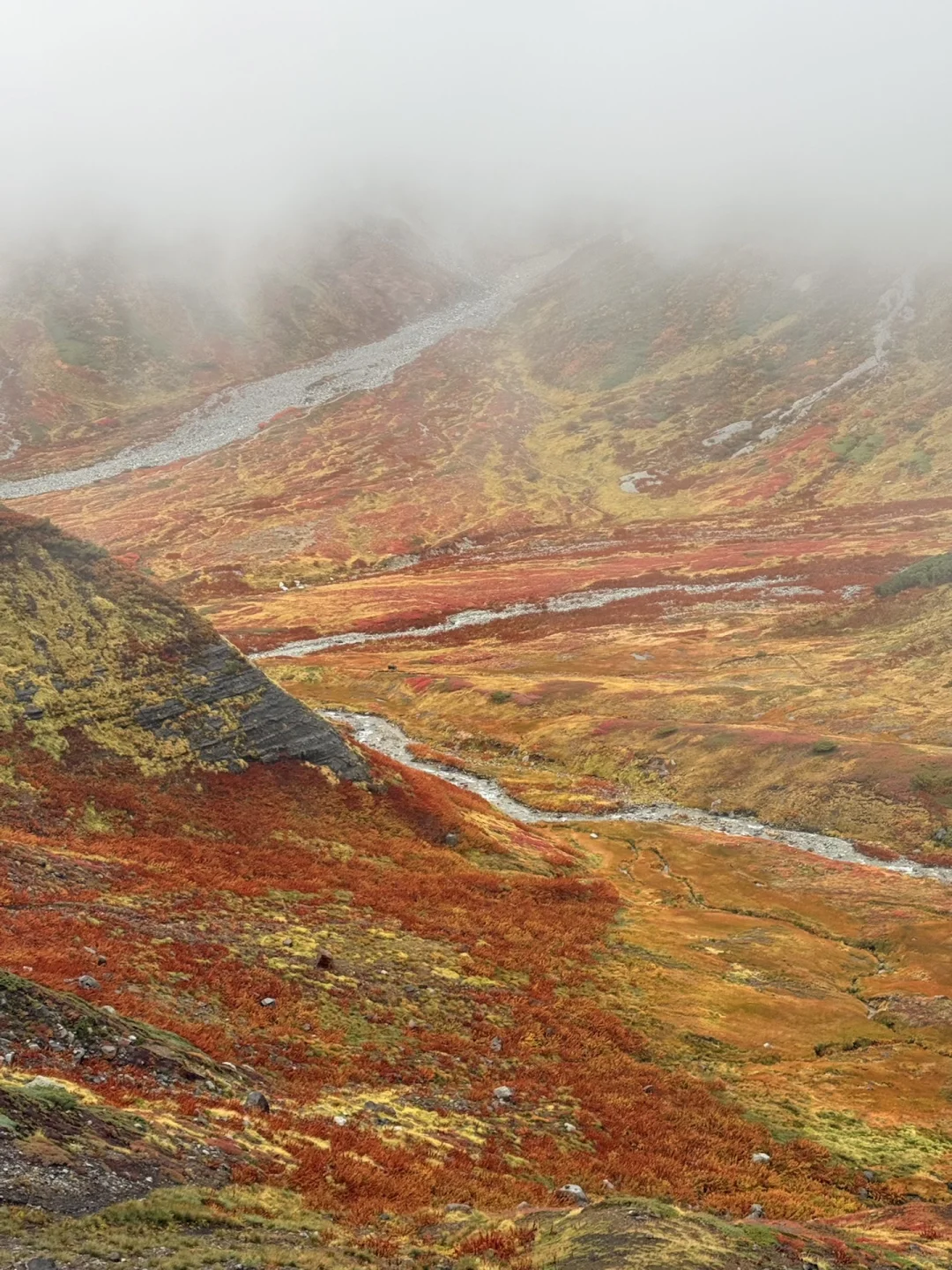 10.05油画立山🍁实况🧡💛❤️附拍照机位攻略