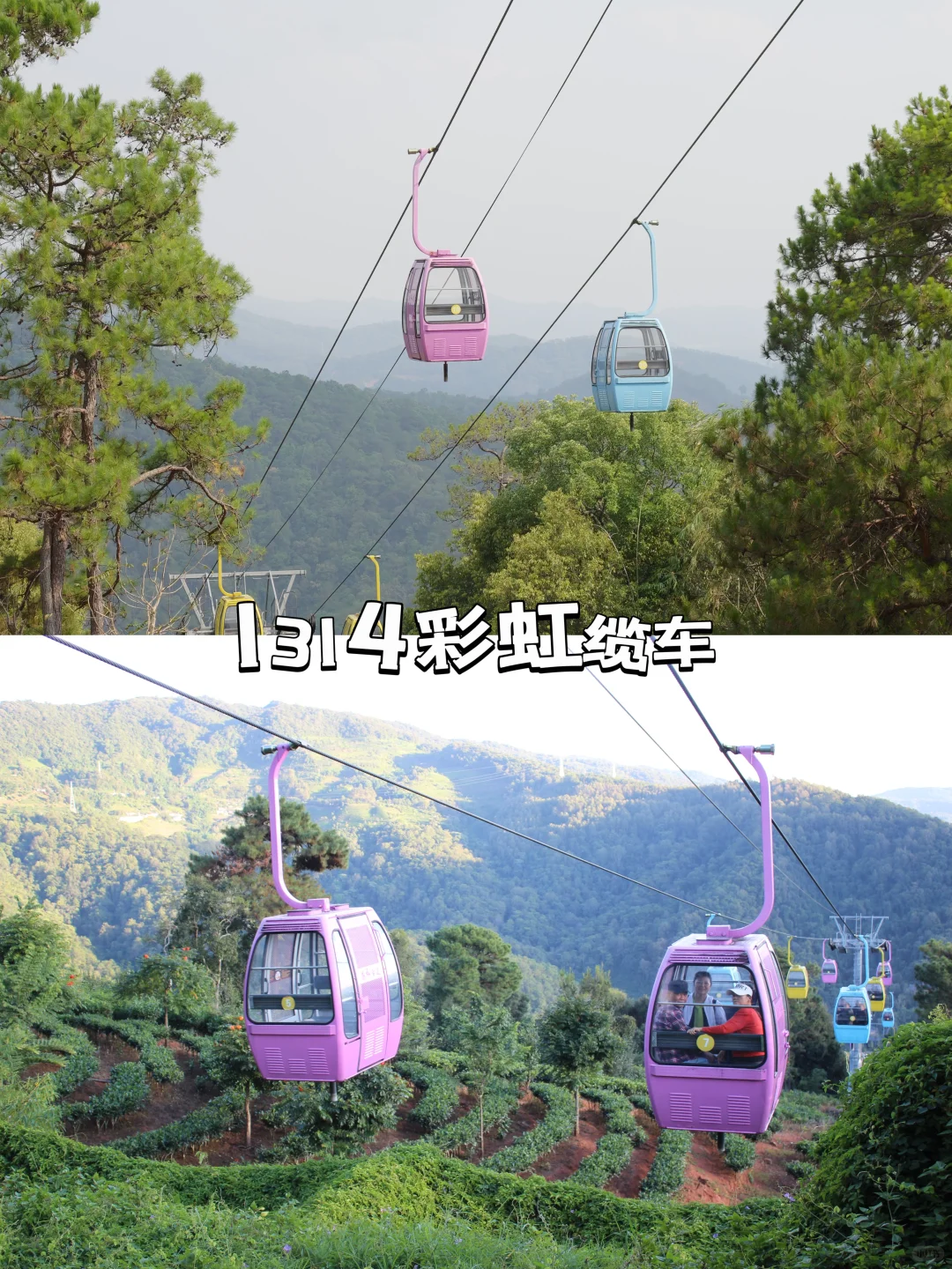 云南普洱｜一个值得N刷的宝藏旅游地