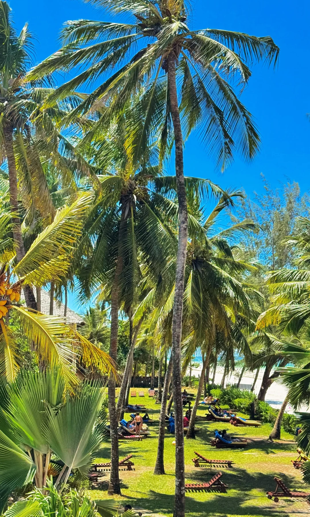 非洲的入门级酒店真的是刷新了我的旅行认知