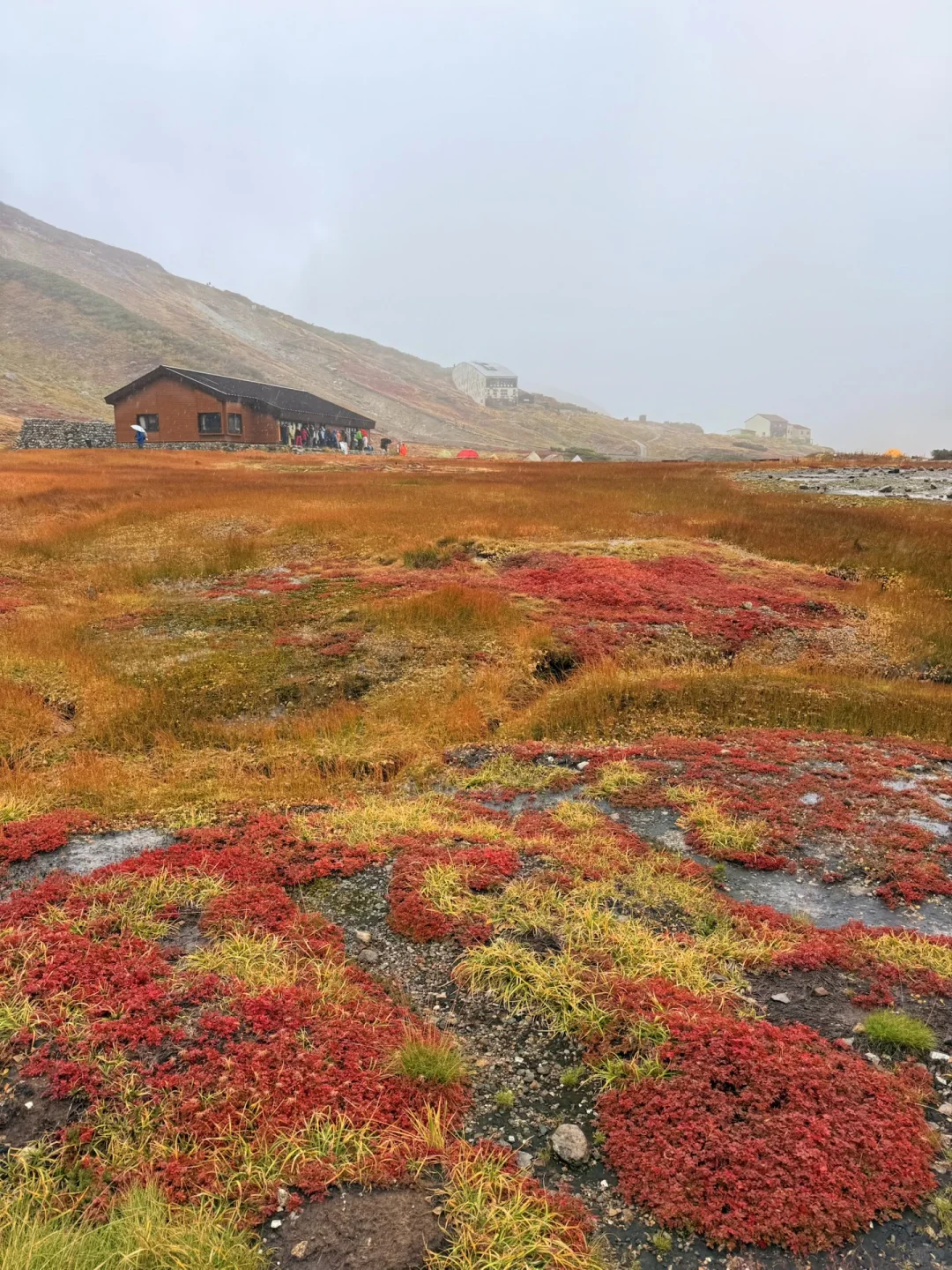 10.05油画立山🍁实况🧡💛❤️附拍照机位攻略