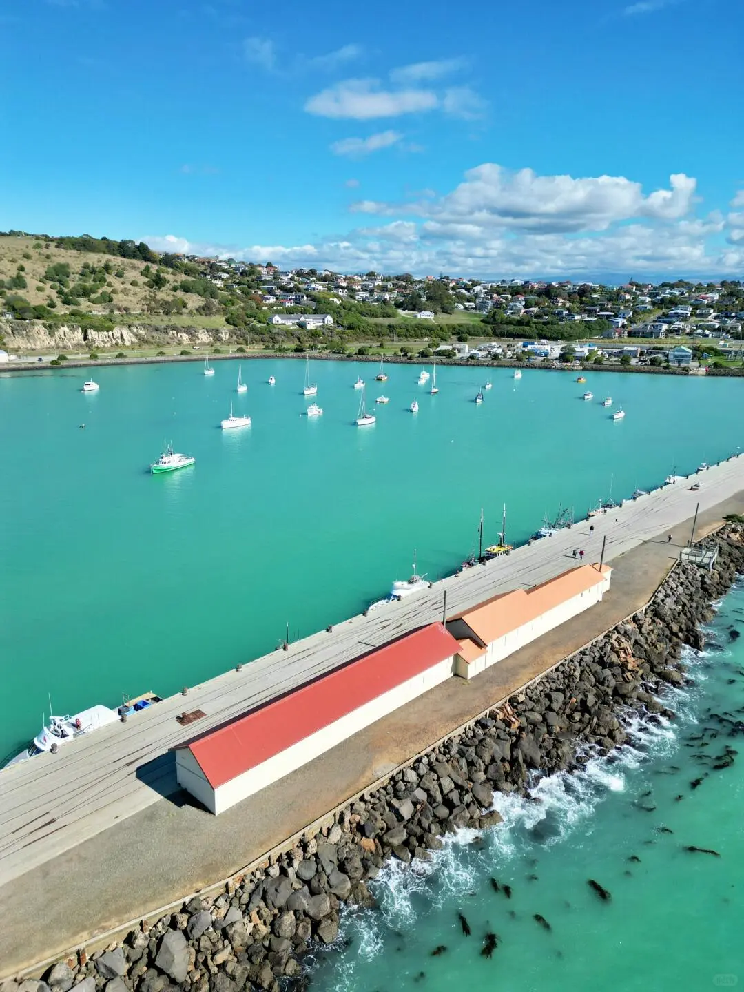 害怕被拒签，选择跟团去新西兰旅游，结果…