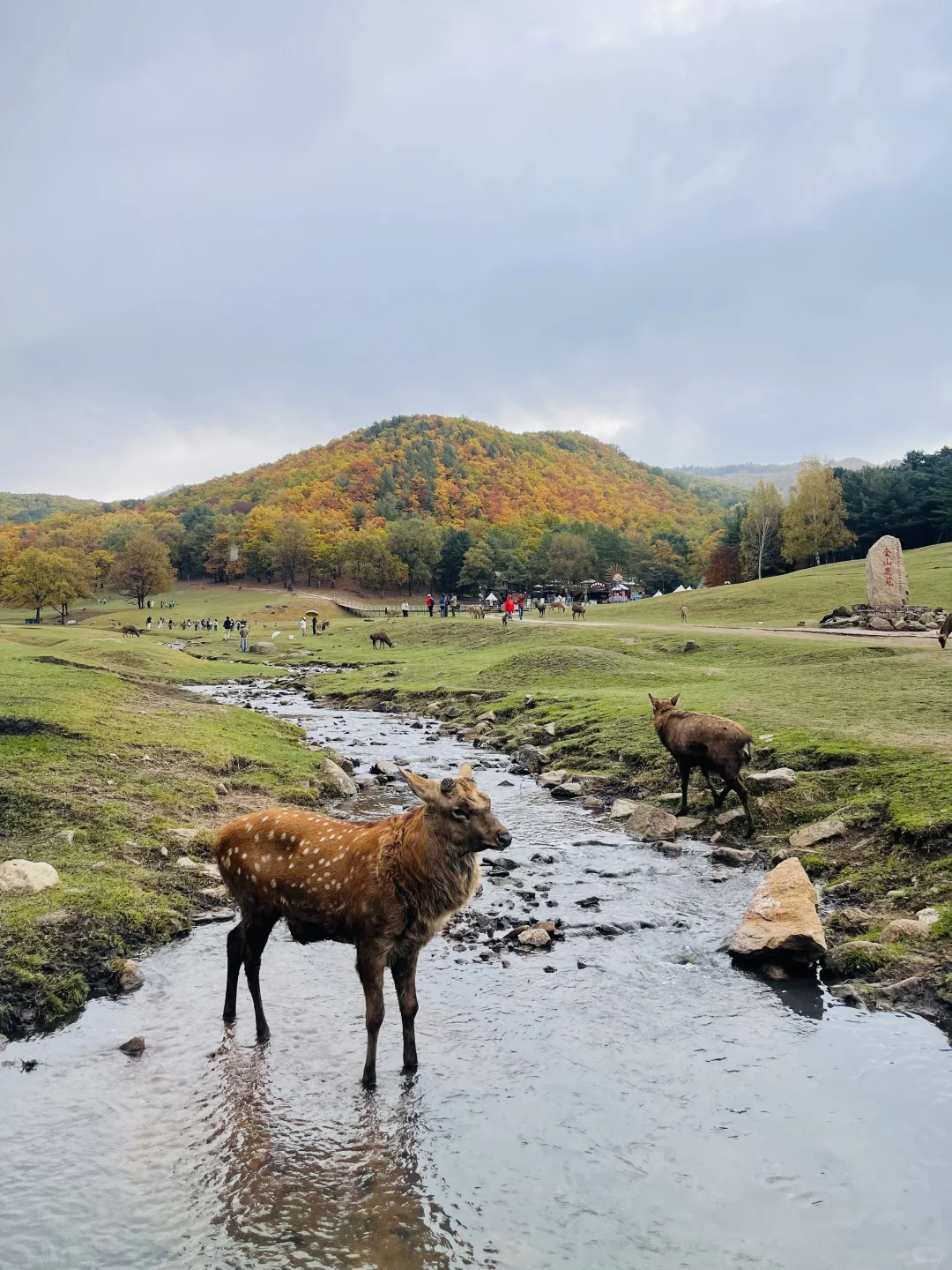 独自去旅行-伊春：女生一人，挑战完全大交通