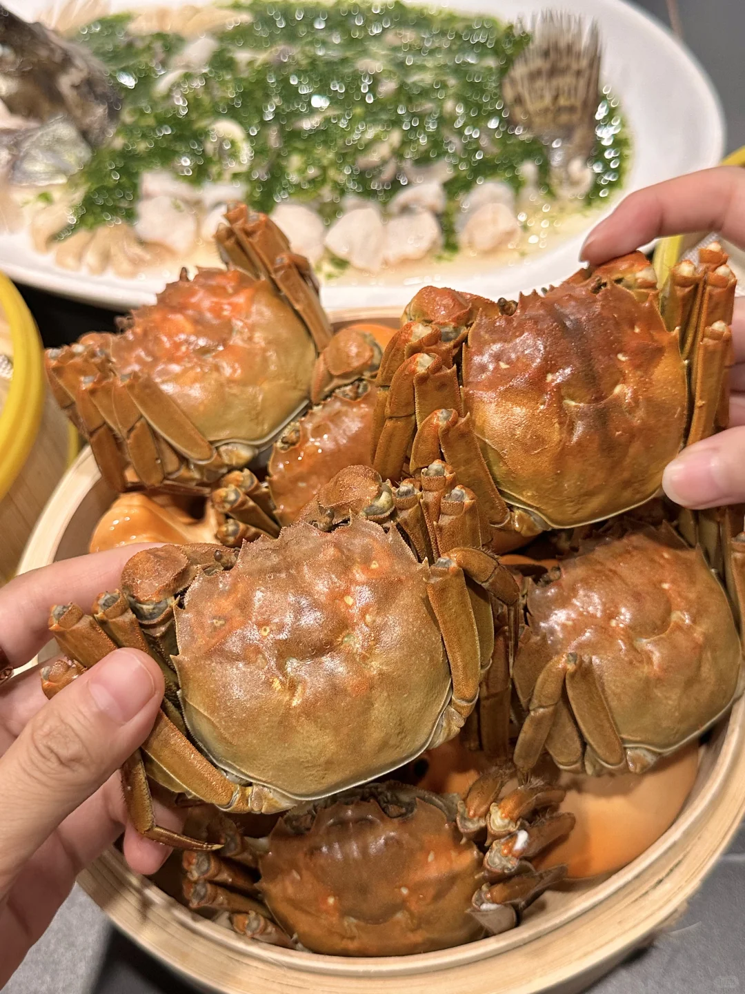 苏州本地人推荐！这个季节直奔阳澄湖！