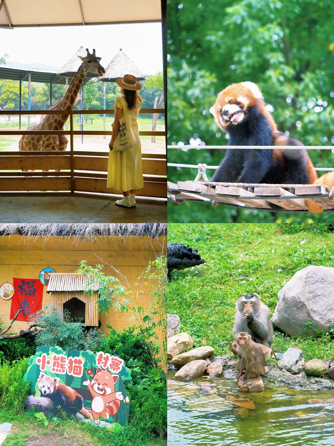 在浙江📍我很少用震撼形容一个地方！！！！！！！