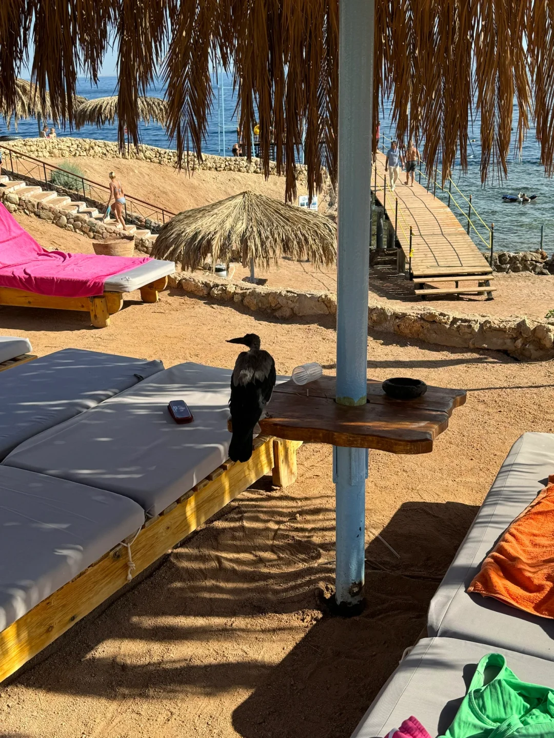 🇪🇬埃及沙姆沙伊赫·旅游攻略