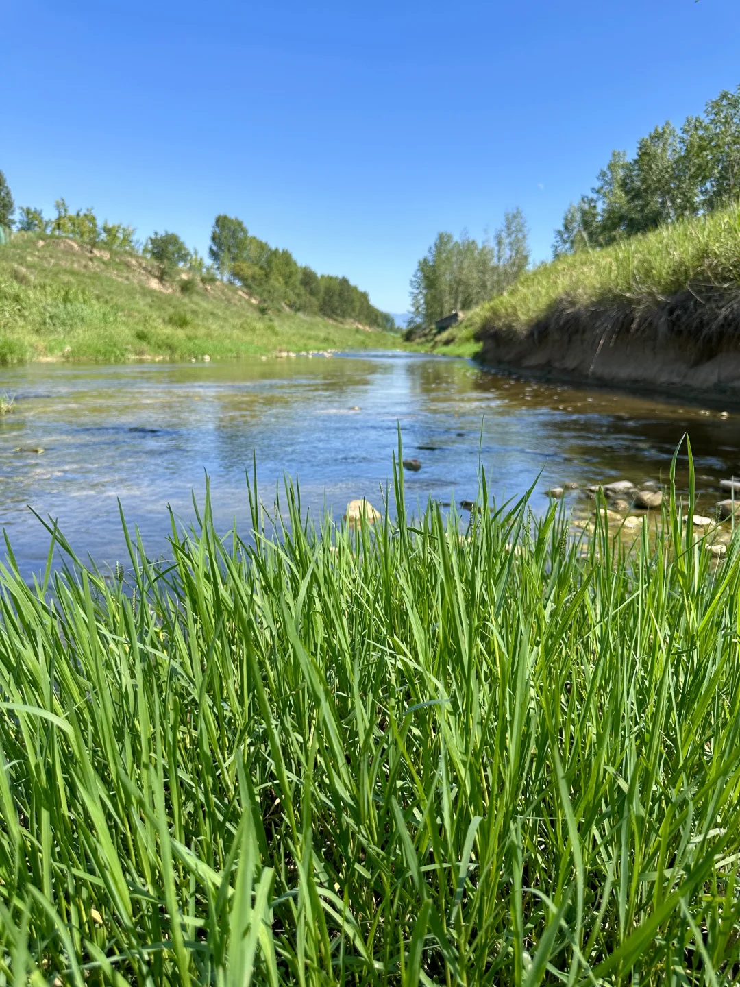 秦岭山与河视频没想到好多人喜欢，图片安排