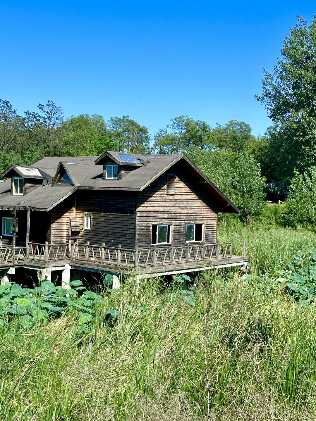 秦岭山与河视频没想到好多人喜欢，图片安排