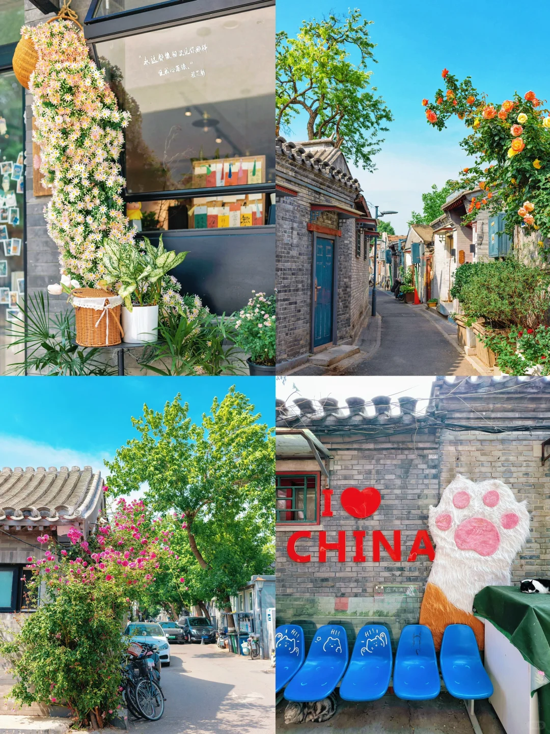 北京City walk｜初夏胡同🌺浪漫一日游路线🔥