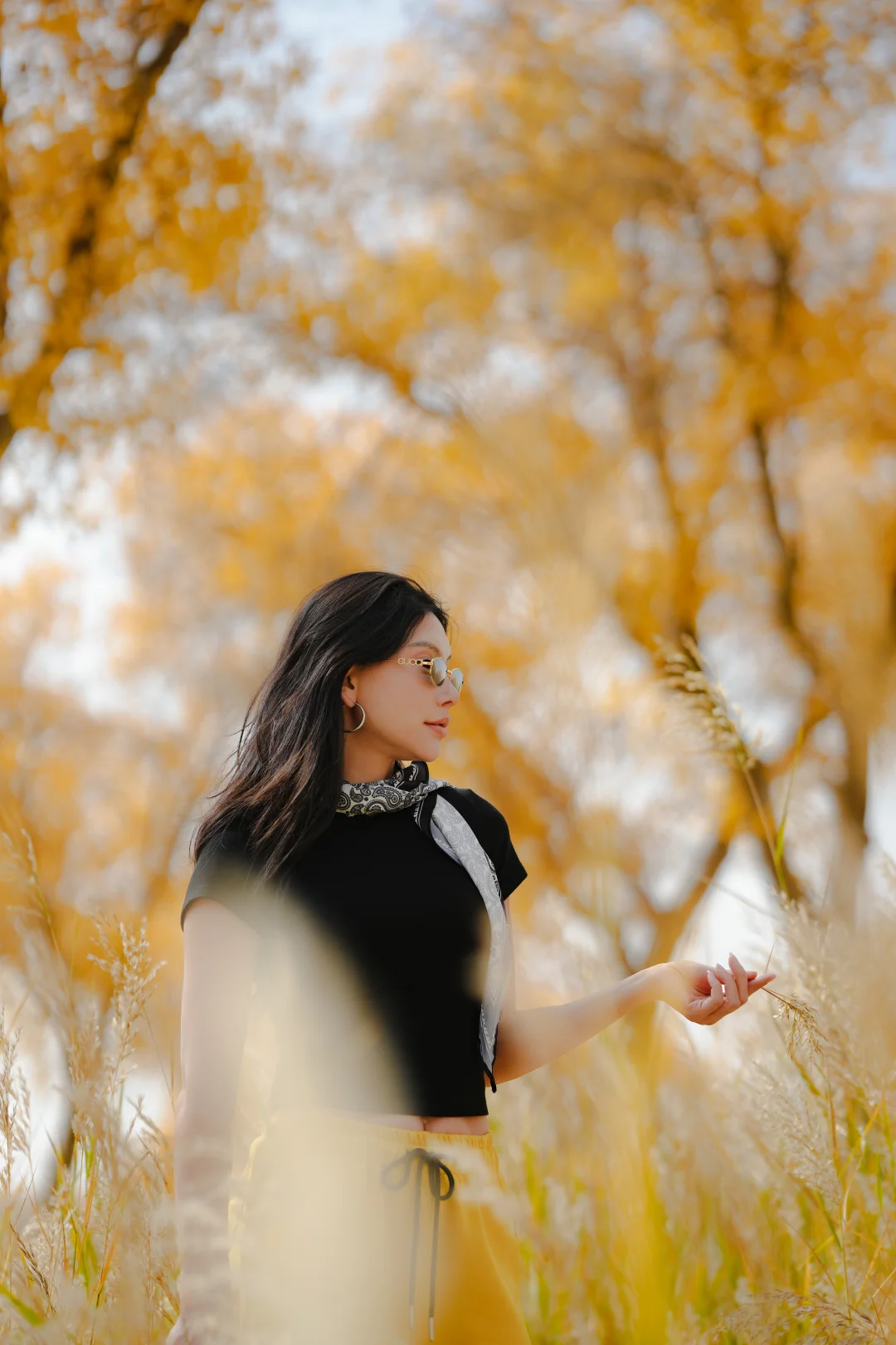 千年胡杨🍂