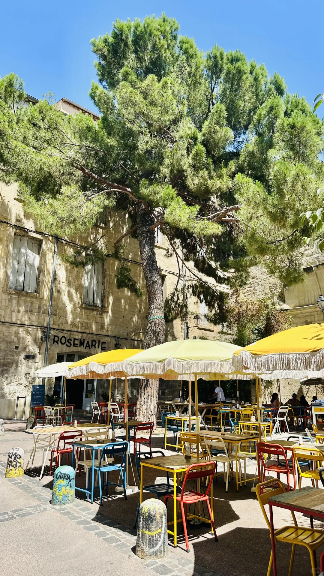 Montpellier 🩵