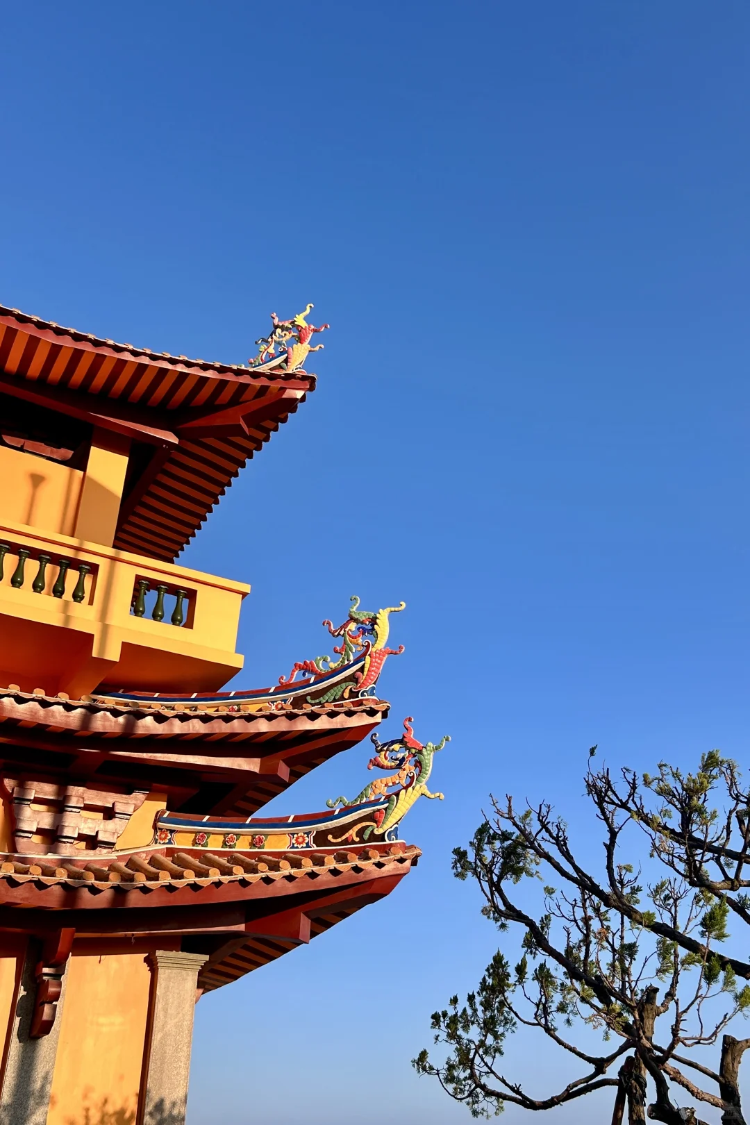 泉州的各种寺庙是真的看不厌