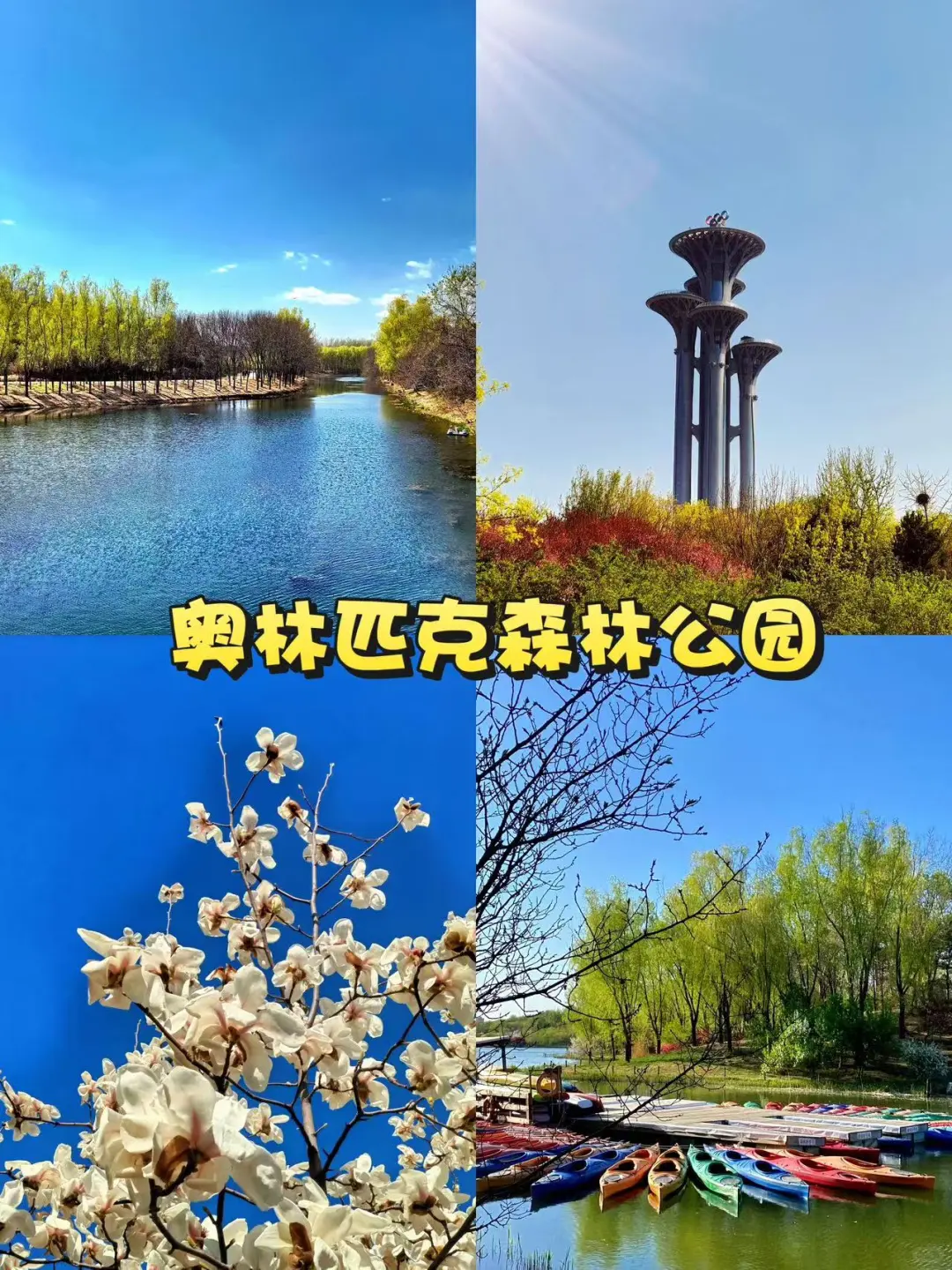 北京🌸｜分享能待一整天的10个好地方✨