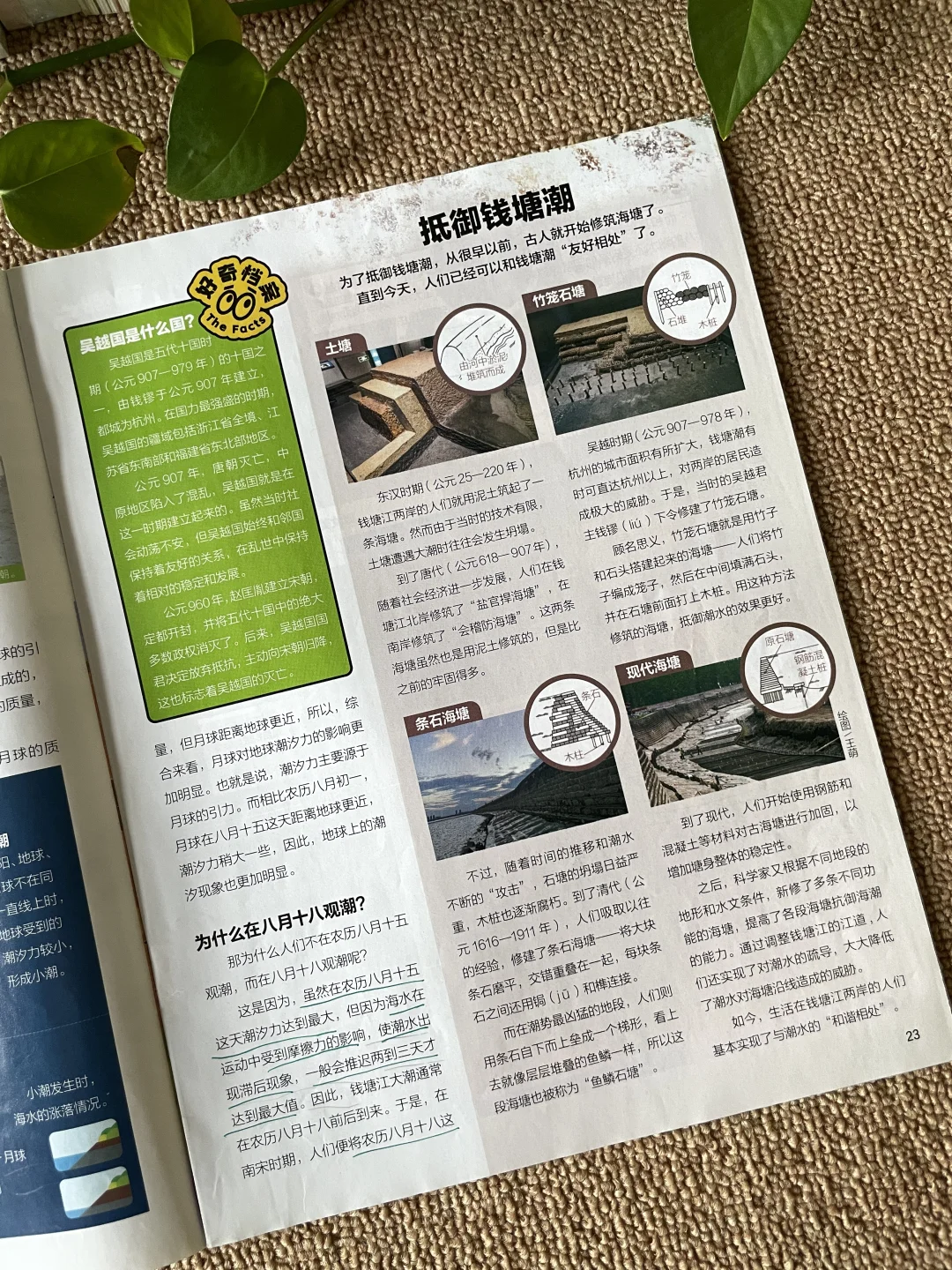 没去杭州？先看《好奇号》！📚