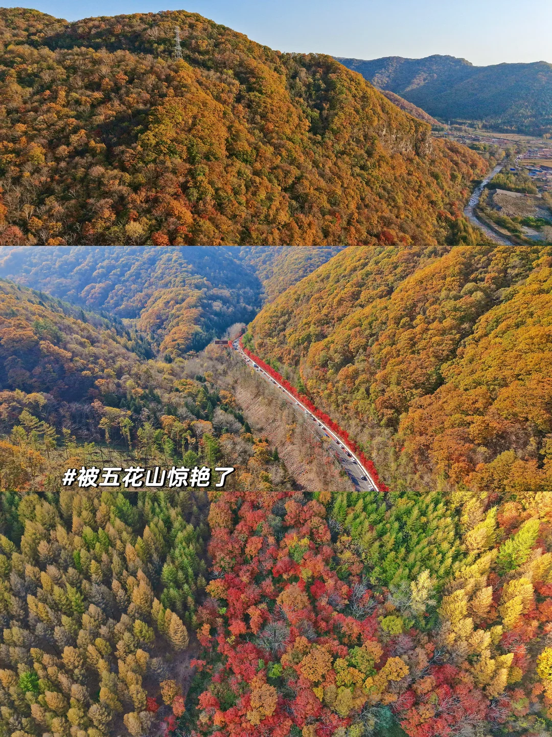 10.14此刻本溪枫叶季已封神🍁｜附两个免费点