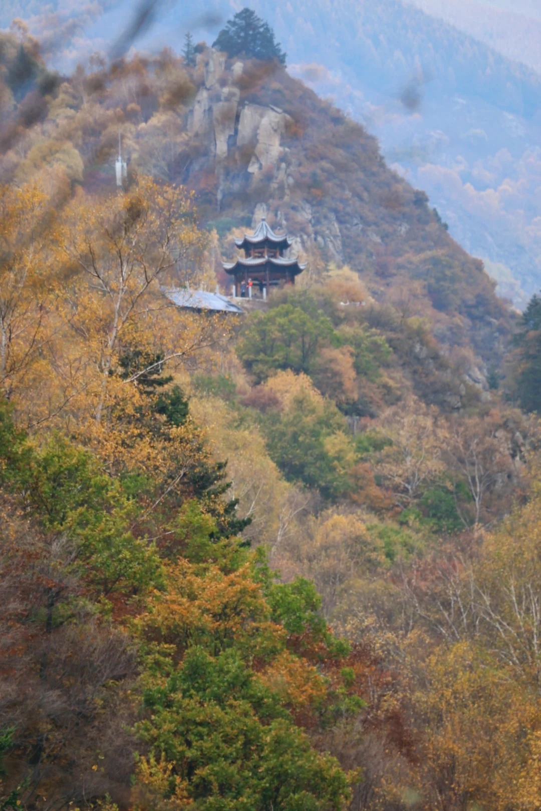 北京周边｜蔚县小五台山看层林尽染🍁