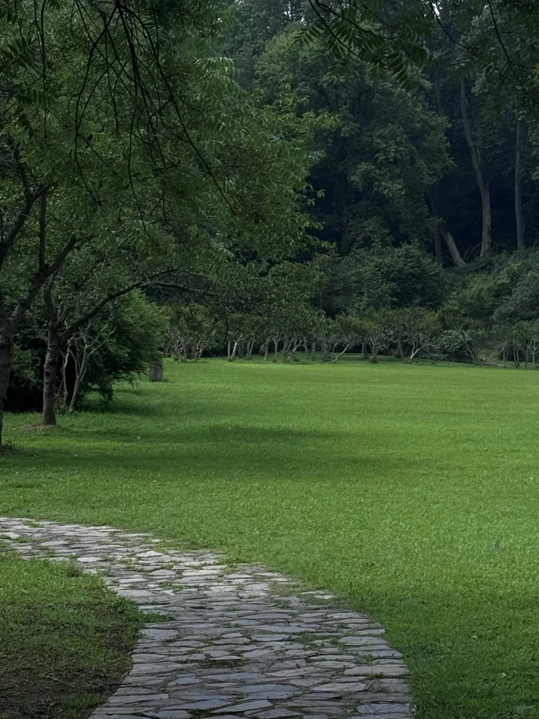比起中山陵，我更爱逛她边上这个小众景点🍃