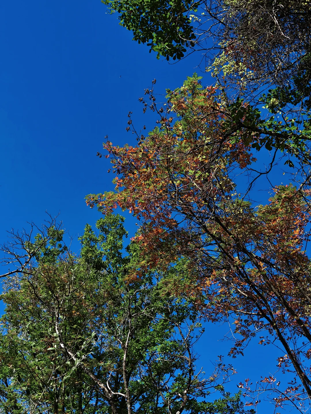 九寨沟很美,但我不会再去,原因在最后一张